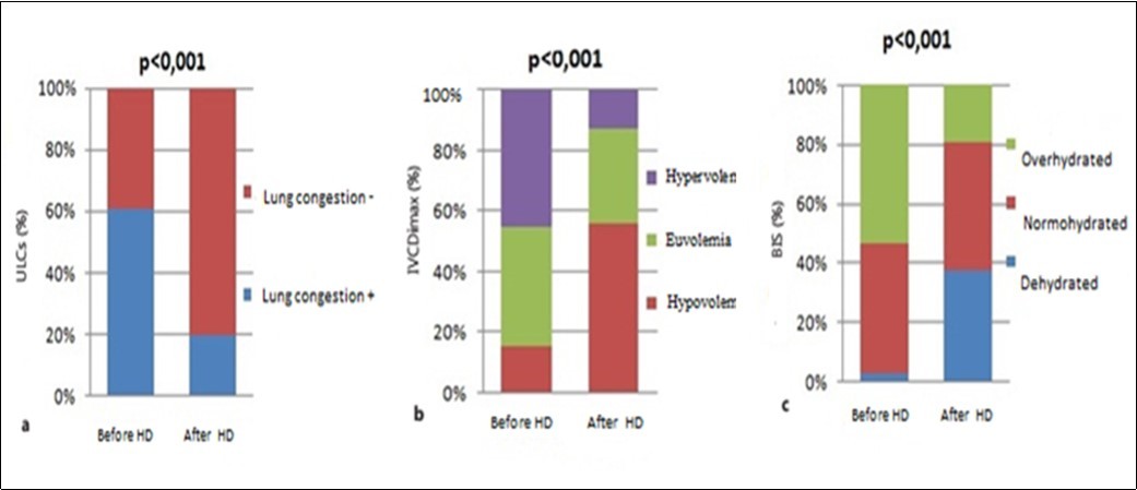 Journal of Nephrology Advances-Ultrasound lung