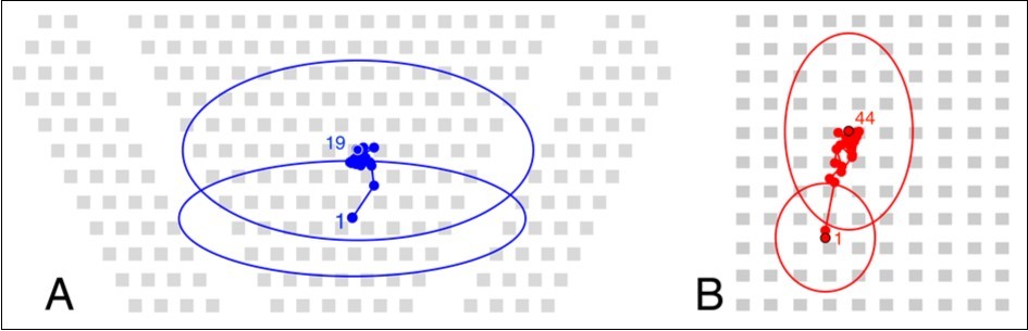 Lecture hall layout showing the seat arrangement (gray squares) and participate seat location centroid daily variations for the PC (A) and GC (B). The front of the lecture hall is at the bottom of the figure. Mean (blue or red dots) of all x-y coordinates of the occupied seats for each day. Standard deviations (ellipses) and numbers for the first and last day of the course.