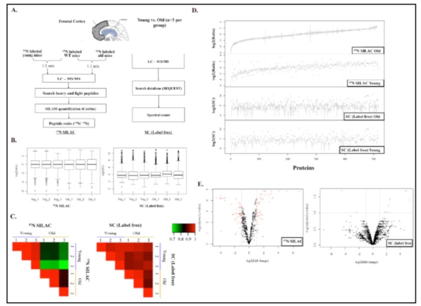 Journal of Proteomics and Genomics Research-quantitative proteomics