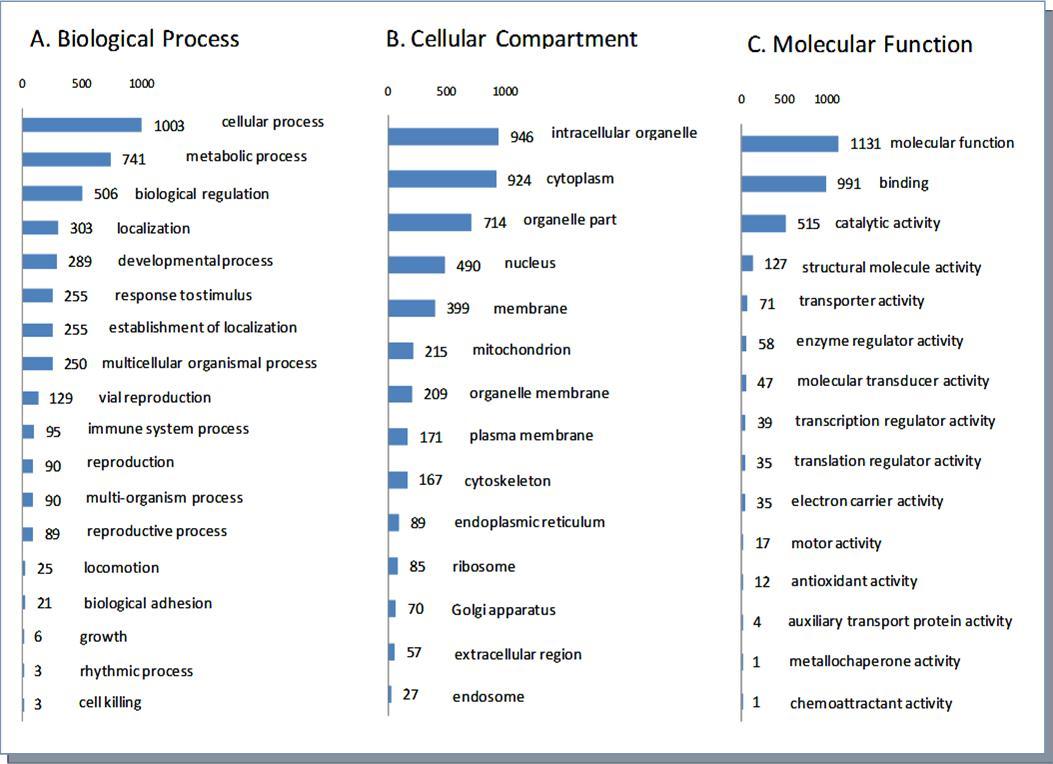 Journal of Proteomics and Genomics Research-Breast