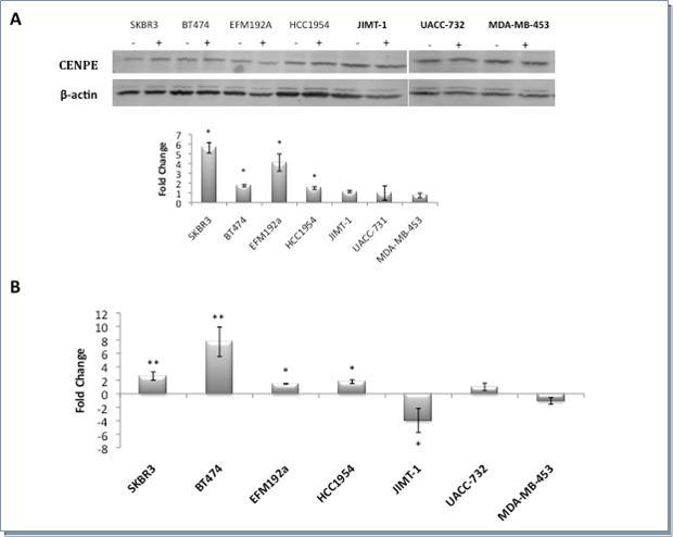 Journal of Proteomics and Genomics Research-Breast