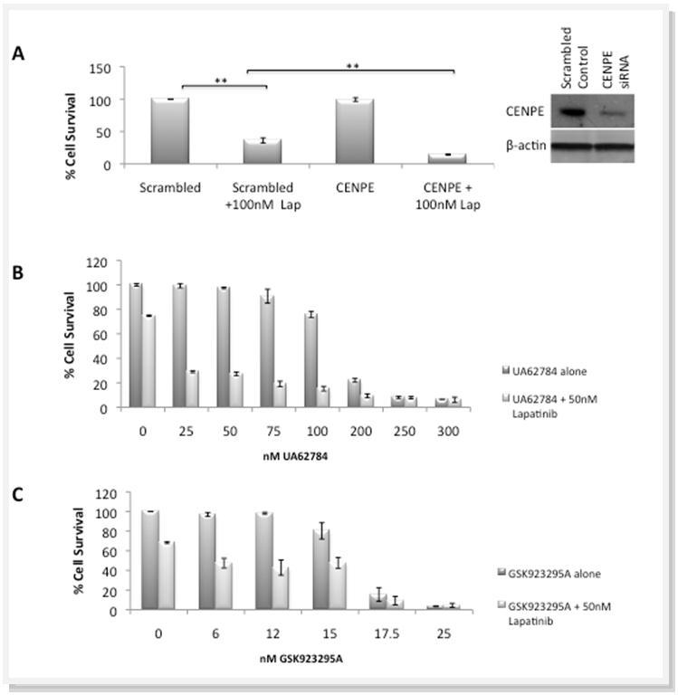 Journal of Proteomics and Genomics Research-Breast