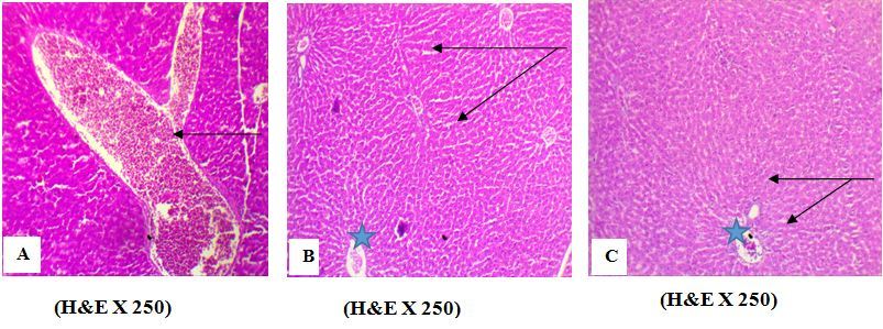 Journal of Antioxidant Activity-phytochemical screening