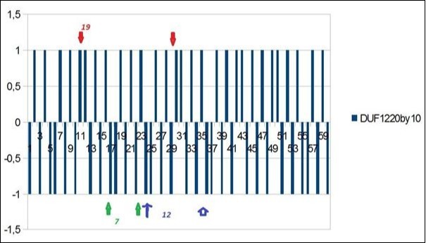 Journal Of Glycomics And Metabolism-Brain evolution