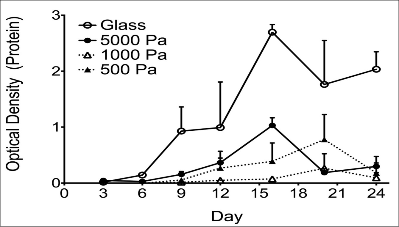 International Physiology Journal-Connective Tissue Growth Factor