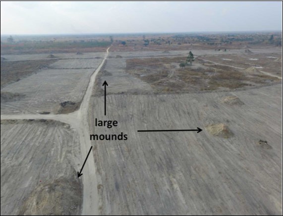 Journal of Plant and Animal Ecology-Termites