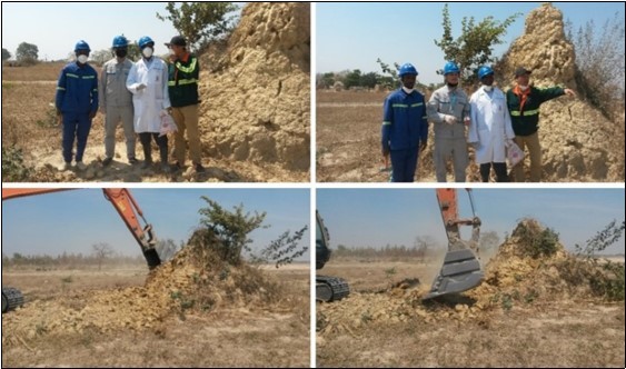 Journal of Plant and Animal Ecology-Termites