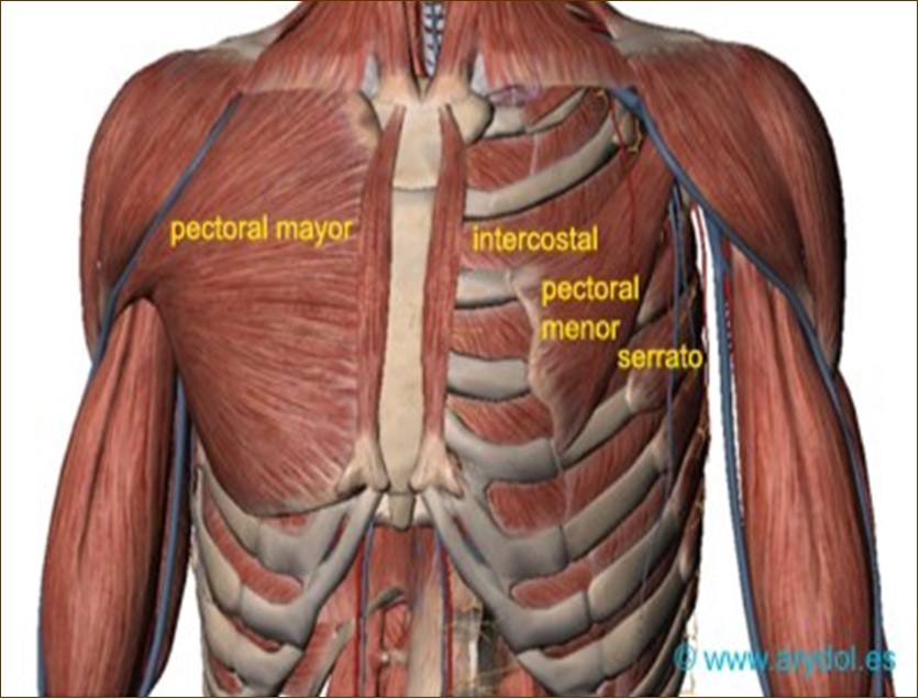 Journal of Family Medicine-PMPS