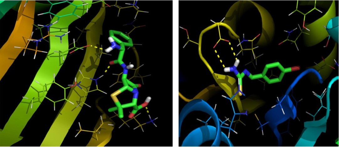 Journal of New Developments in Chemistry-DFT Study
