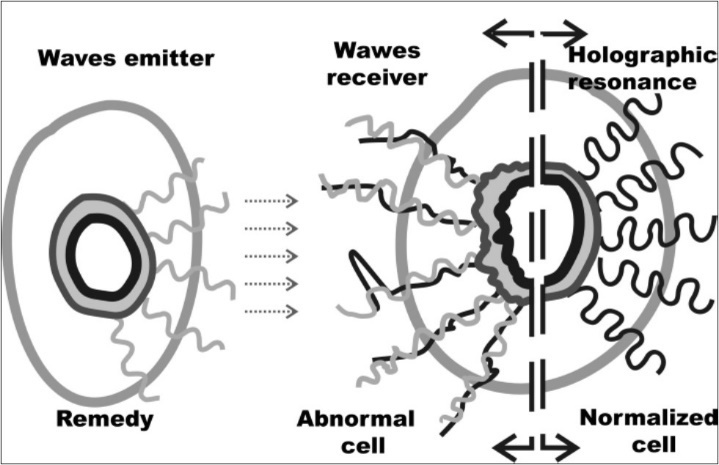 The general mechanisms of the healing by sounds / words