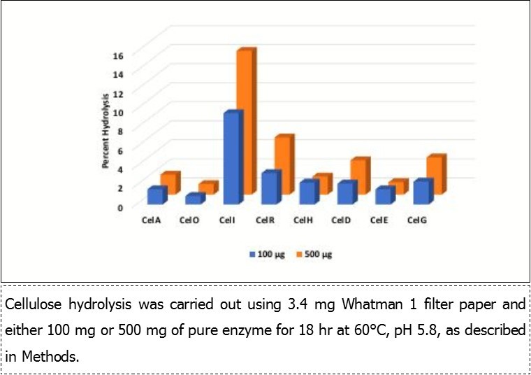 Journal of Enzymes-Clostridium thermocellum