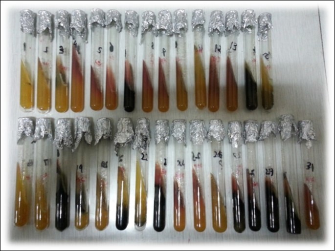 Biochemical