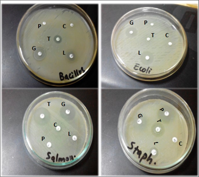 Biochemical
