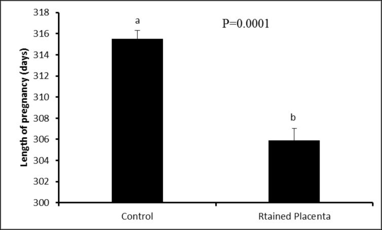 Journal of Veterinary Healthcare-buffalo-cows