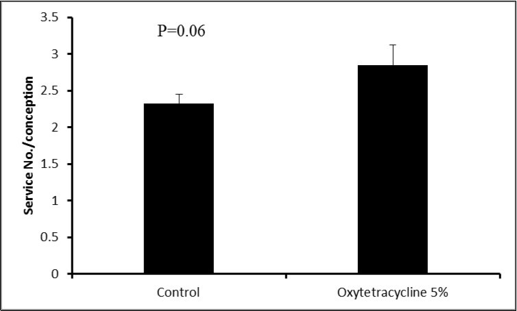 Journal of Veterinary Healthcare-buffalo-cows