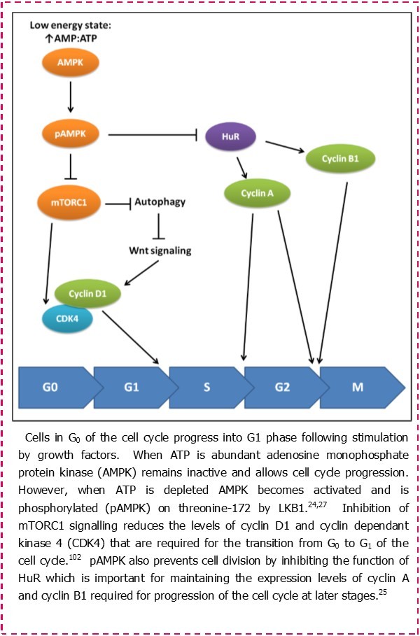 Journal of Hematology and Oncology Research-Chronic lymphocytic leukaemia