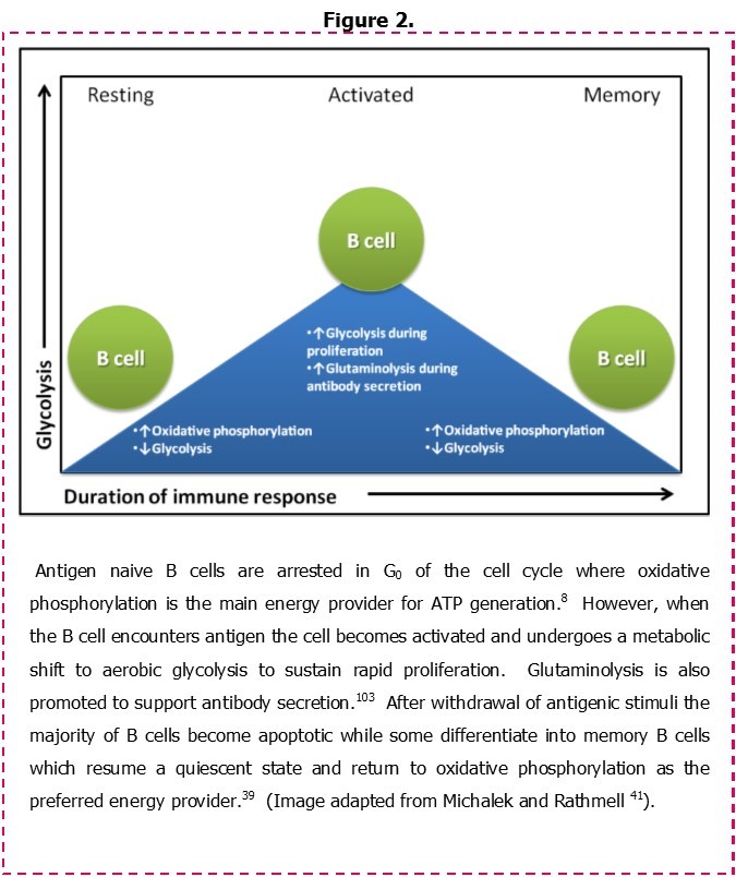 Journal of Hematology and Oncology Research-Chronic lymphocytic leukaemia