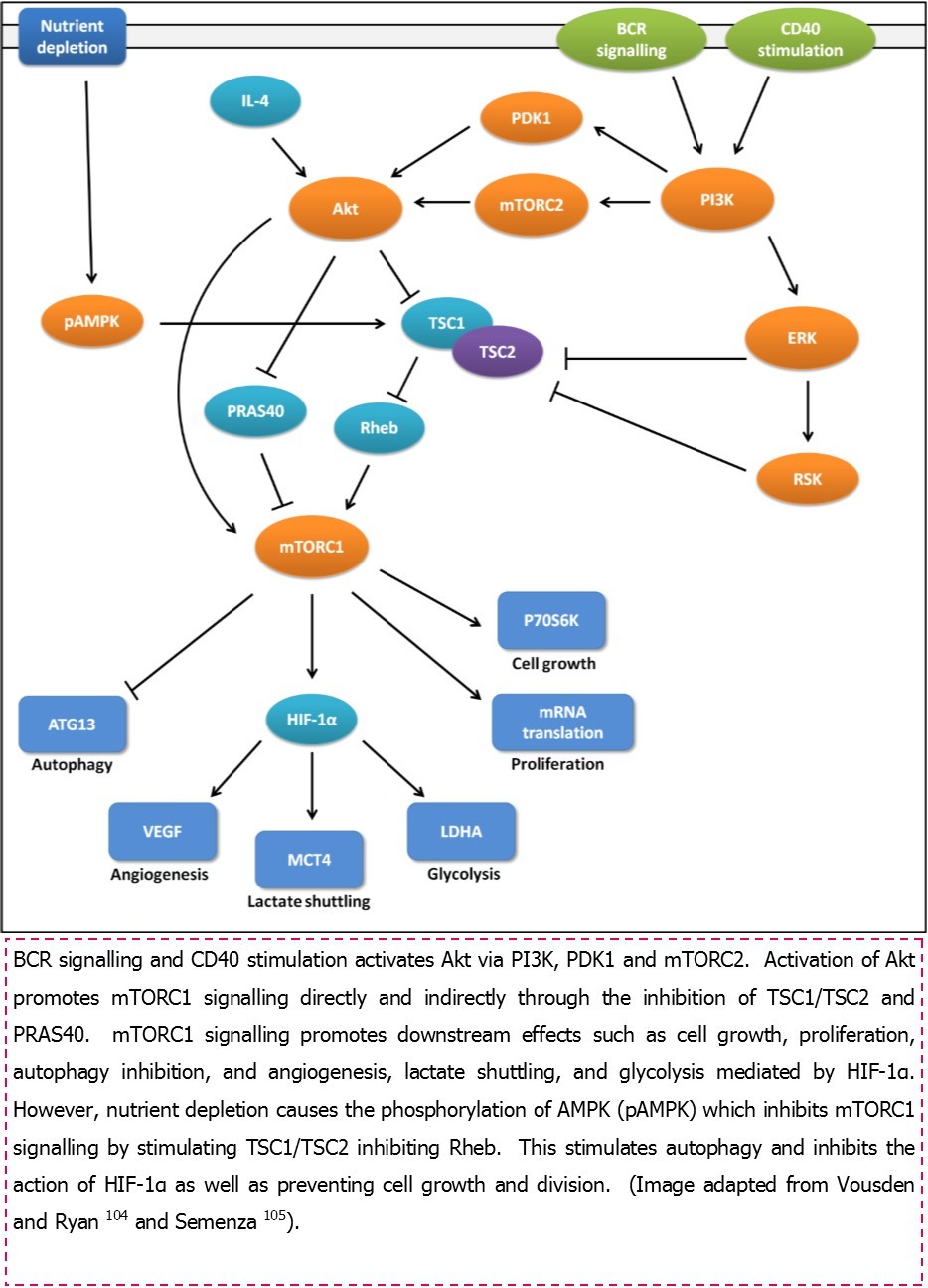 Journal of Hematology and Oncology Research-Chronic lymphocytic leukaemia