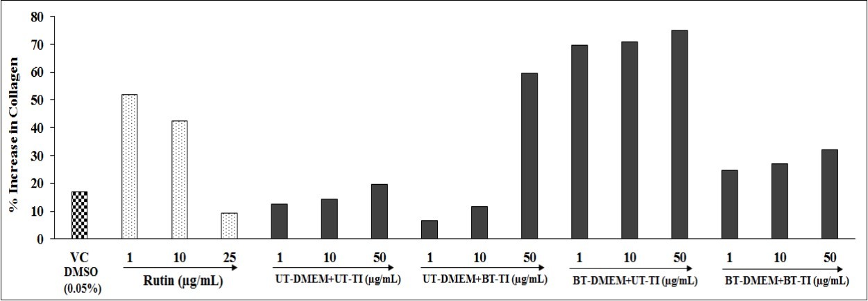 International Journal of Nutrition-Consciousness Energy Healing