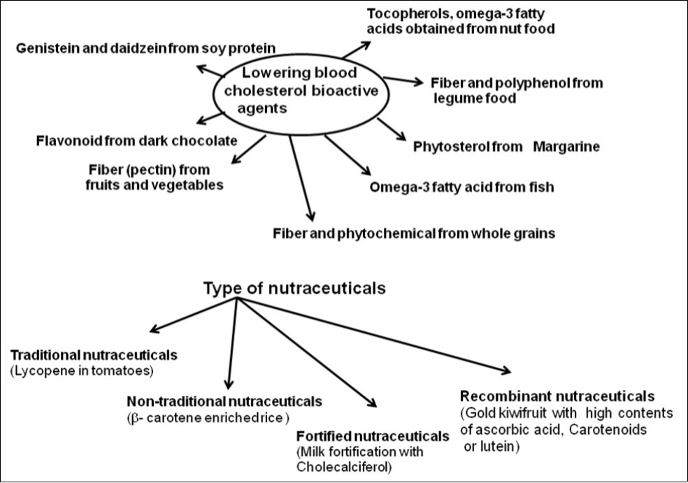 Journal of Biotechnology and Biomedical Science-Lifestyle