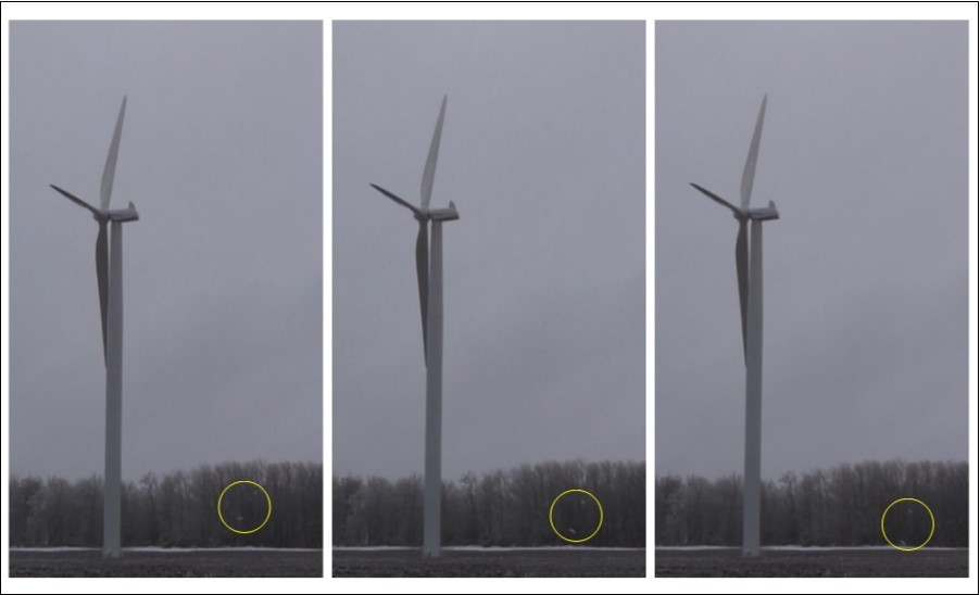 Journal of Energy Conservation-wind turbine