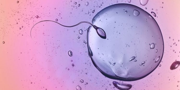 Article: Is Freezing the Future? Investigating Interest of Elective Oocyte Freezing Amongst Singaporean Women
