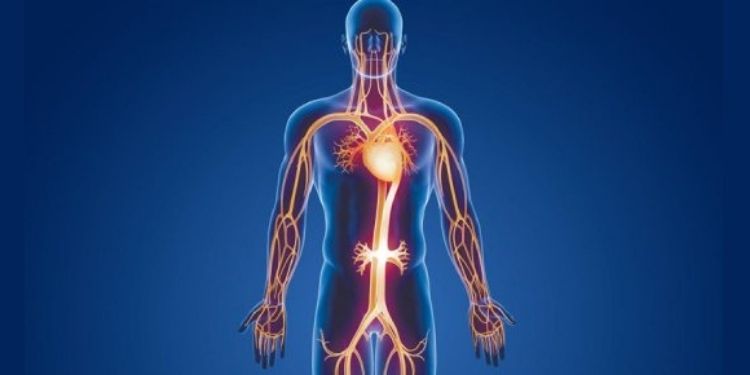 Article: Principles and Constants of the Golden Proportion as a Criterion in Donosological Diagnostics of the Functional States of The Body and in the Assessment of the Probability of their Changes