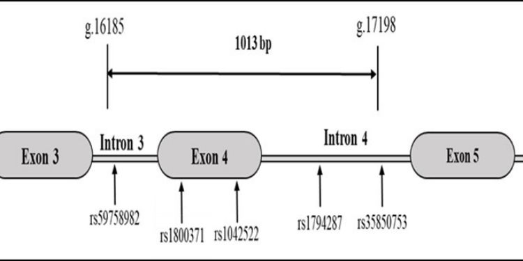 Article: Targeting Mutational Landscape of TP53 in patients diagnosed with Oral Cancer living in Senegal