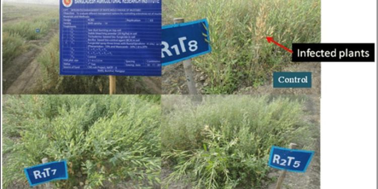 Article: Integrated Management of Sclerotinia Sclerotiorum, An Emerging Fungal Pathogen Causing White Mold Disease