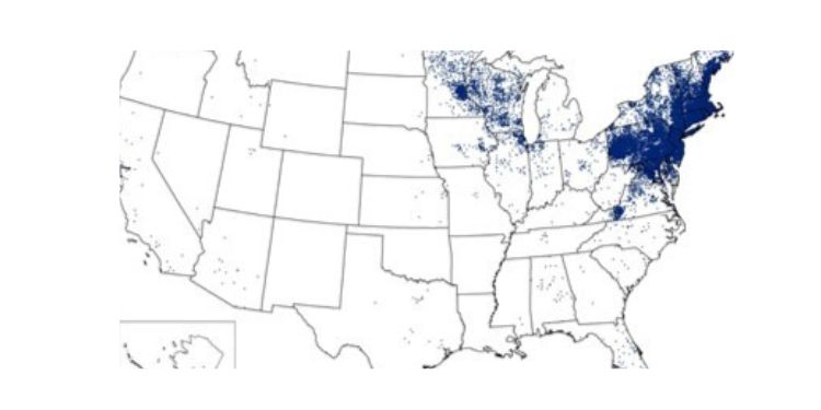 Article: Lyme Disease: In the “Lime Light” for Over 25 Years