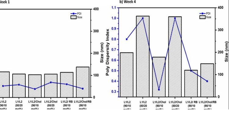 Article: Insights on the Thermal and Physical Stability of the Modified Polymerizable Liposomes for Improved Photoactivity