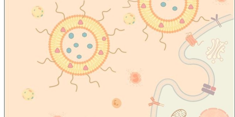 Article: Lipid Assemblies as Tools for Drug Delivery