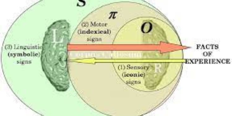 Article: Space of Cross-Disciplinary Researches of Life, Nature and Society 