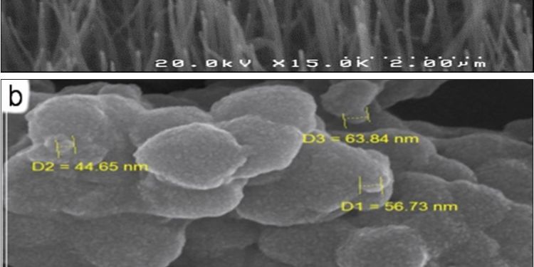 Article: Preparation of Microwave Multi-Adsorbent Nanocomposites Based on Copper, Iron Carbonyl, Carbon Nanofiber, Graphite Nanoflake and Polypyrrole