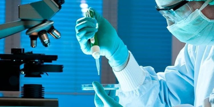 Article: NNC55-0396 Reduces SH-SY5Y Cell Damage Induced by Bupivacaine Hydrochloride