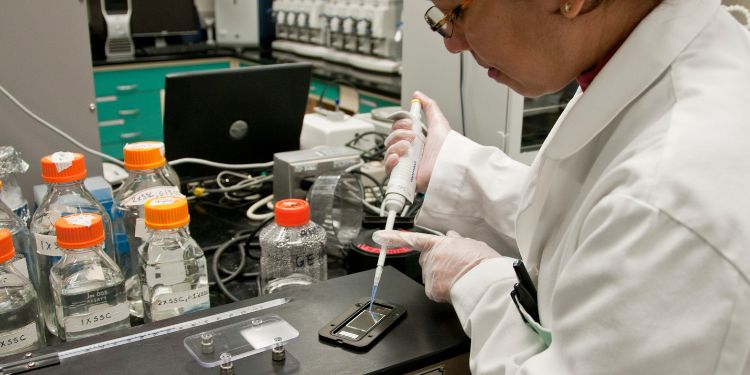 Article: Effect of Hexavalent Chromium on the WBCs of the Fresh Water Fish, Labeo rohita