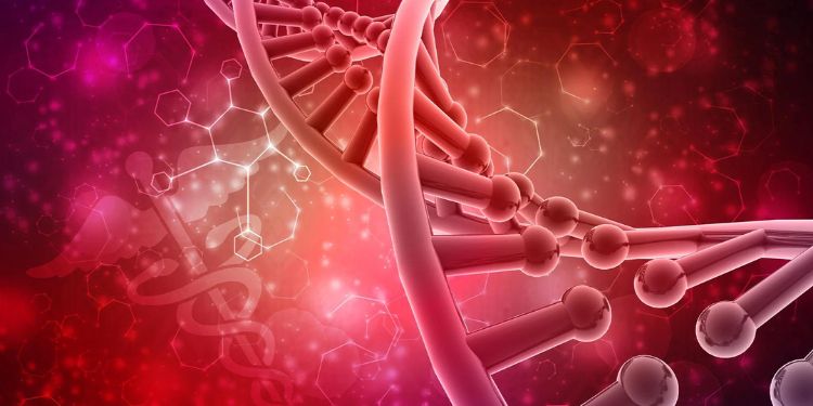 Article: β-Cell function in type 1 diabetes may not be as low as presumed