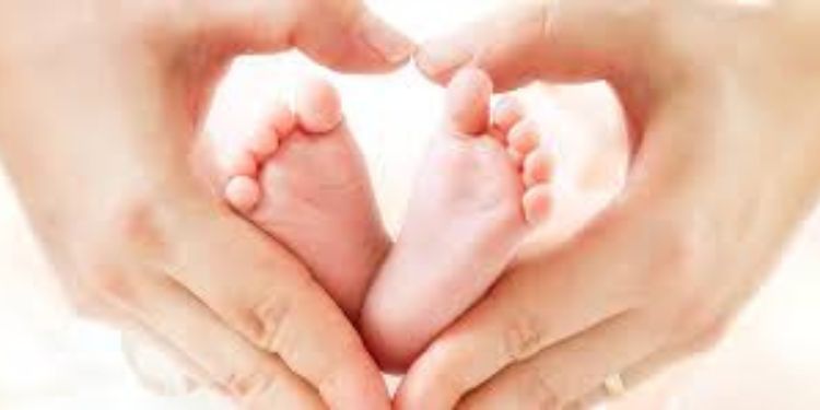 Article: Misoprostol (Cytotec) for Prevention of Ovarian Hyperstimulation Syndrome. A Preliminary Investigation.