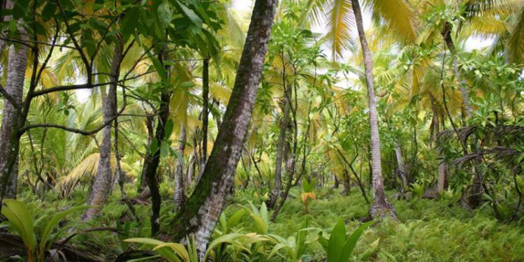 Article: Distribution Spread and Environmental Risk Status of Pb, Cd And Cr in Soils of an Open-Air Waste Dumpsite along Tombia/Amassoma Road in Yenagoa Metropolis