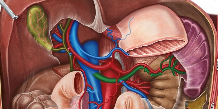 Article: Evaluation of Gall Bladder Mucosal Changes in Relation to the Type of Stones in Patients Undergoing Laparoscopic Cholecystectomy: A Retrospective Study of 394 Patients