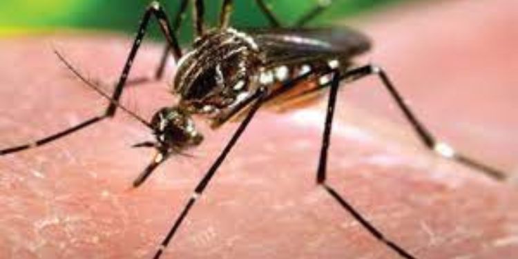Article: Malaria: An Unseen Enemy Threatening to Mankind