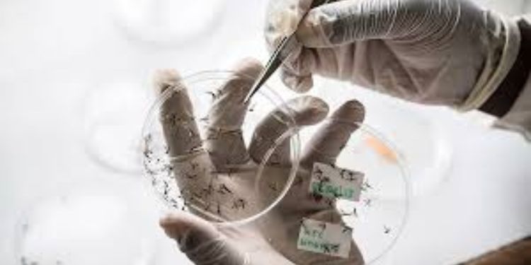 Article: Assessment of Pupils’ Knowledge and Practices Towards Prevention and Control of Tungiasis Infestation in Ugenya Sub County, Kenya