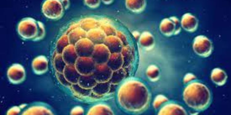 Article: Treatment of a Severe Pediatric Lyell Syndrome with Amniotic Membrane: Case Report and Histological Findings 