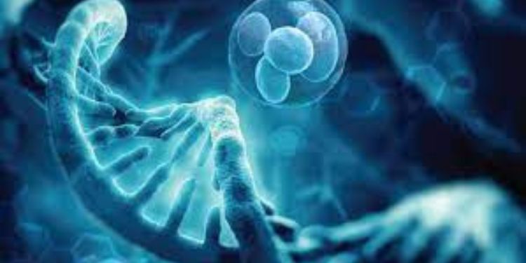 Article: Impact of Biofield Energy Treatment Based Test Formulation on Vital Organ Health Specific Biomarkers Using Cell Line Study