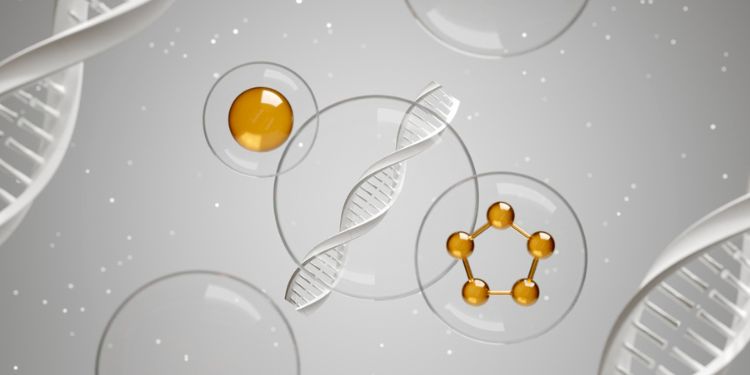 Article: Plasma TREM2 Levels, Alcohol Consumption, and Liver Enzymes in Patients with Alcohol use Disorder: A Sex-Dependent Relationship Involving MS4A6A Genetic Polymorphism