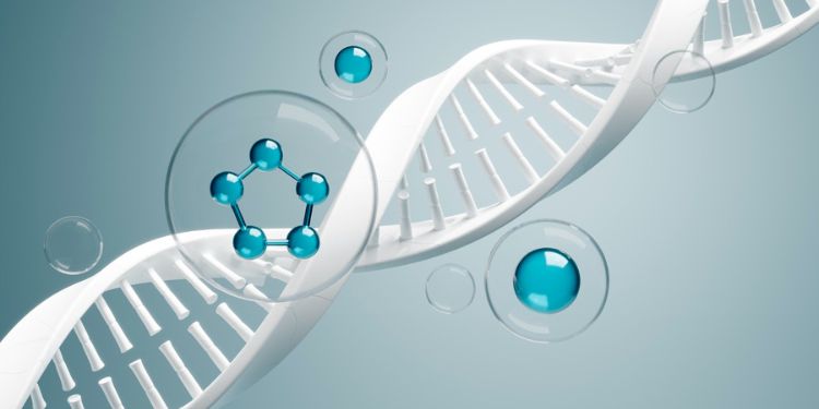 Article: REDOX ENZYMES: From Basics to Free Radical Scavenging