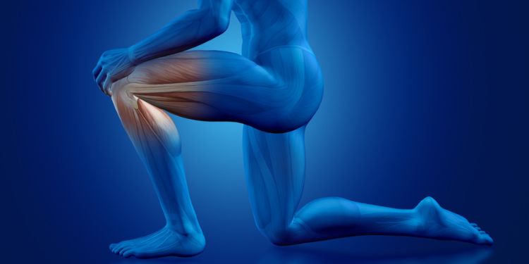 Article: Osteoarthritis Depressive, Loneliness and Social Isolation in Later Life and the Robotic Companion