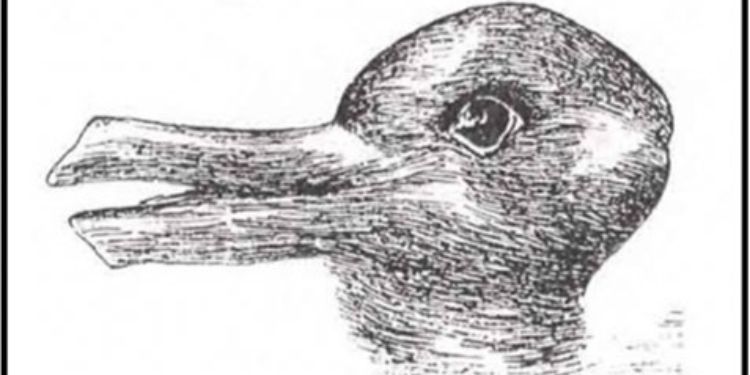 Article: Delving into the Ideas of Charles Darwin: A Study of His Pre-Beagle Musings, Beagle Expedition, and Subsequent Developments