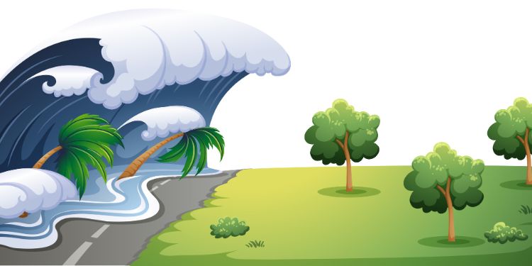 Article: Retraction Note: The Impact of Underwater Sound on Aquatic Animals – And Especially Fishes