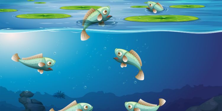 Article: Molecular Approaches for Assessing Some Iranian Freshwater Fish Species